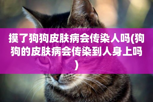 摸了狗狗皮膚病會傳染人嗎(狗狗的皮膚病會傳染到人身上嗎)