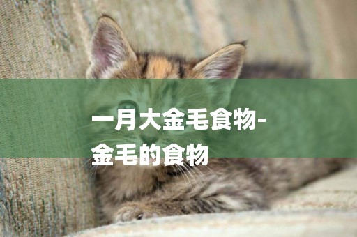 一月大金毛食物-
金毛的食物