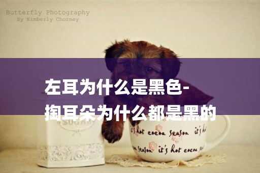 左耳為什么是黑色-
掏耳朵為什么都是黑的