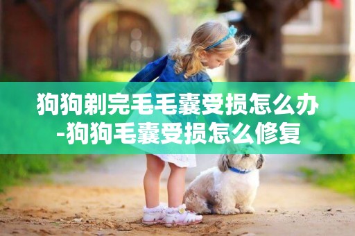 狗狗剃完毛毛囊受損怎么辦-狗狗毛囊受損怎么修復