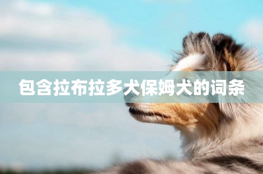 包含拉布拉多犬保姆犬的詞條