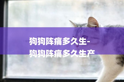 狗狗陣痛多久生-
狗狗陣痛多久生產