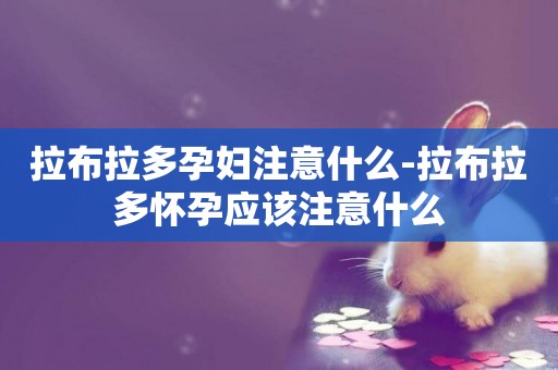 拉布拉多孕婦注意什么-拉布拉多懷孕應該注意什么