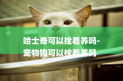 哈士奇可以拴著養嗎-
寵物狗可以栓著養嗎