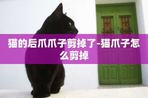 貓的后爪爪子剪掉了-貓爪子怎么剪掉