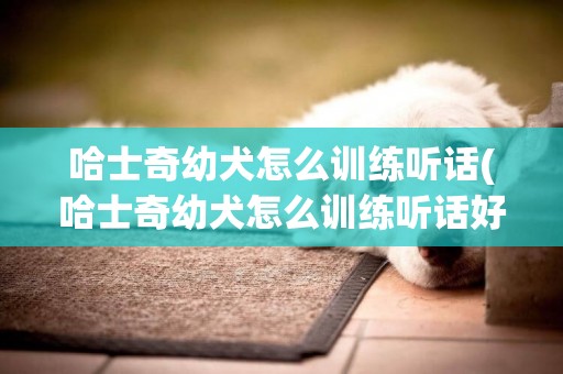 哈士奇幼犬怎么訓練聽話(哈士奇幼犬怎么訓練聽話好)