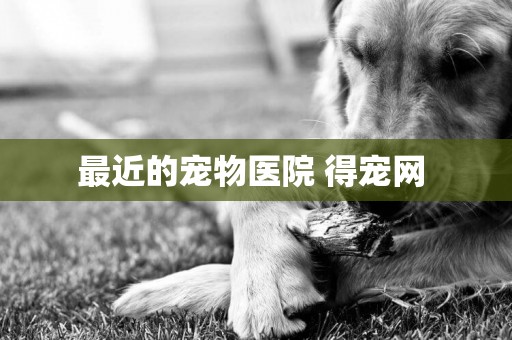 最近的寵物醫院 得寵網 