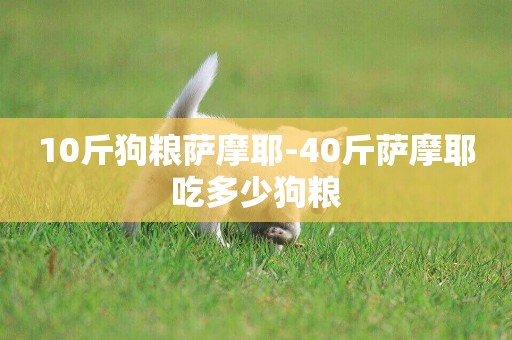 10斤狗糧薩摩耶-40斤薩摩耶吃多少狗糧