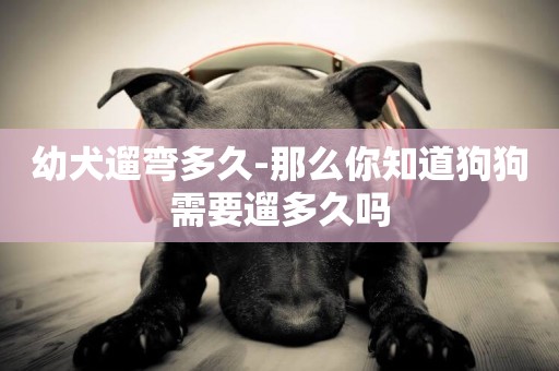 幼犬遛彎多久-那么你知道狗狗需要遛多久嗎