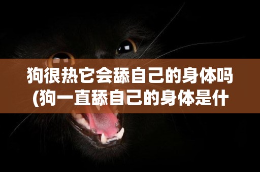 狗很熱它會舔自己的身體嗎(狗一直舔自己的身體是什么原因)