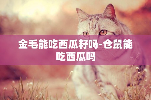 金毛能吃西瓜籽嗎-倉鼠能吃西瓜嗎