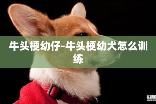 牛頭梗幼仔-牛頭梗幼犬怎么訓練