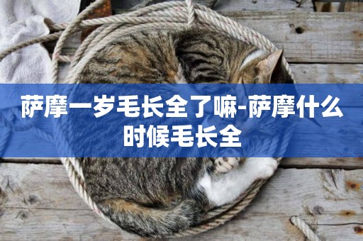 薩摩一歲毛長全了嘛-薩摩什么時候毛長全