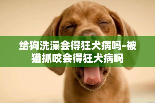 給狗洗澡會得狂犬病嗎-被貓抓咬會得狂犬病嗎