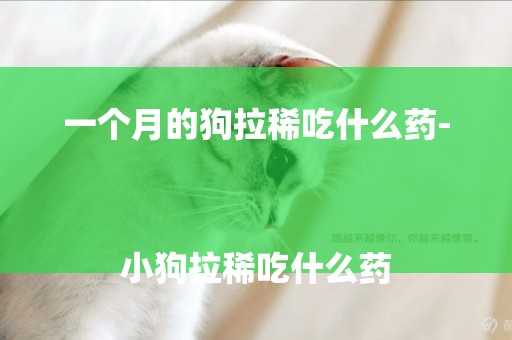 一個月的狗拉稀吃什么藥-
小狗拉稀吃什么藥