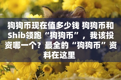 狗狗幣現在值多少錢 狗狗幣和Shib領跑“狗狗幣”，我該投資哪一個？最全的“狗狗幣”資料在這里 