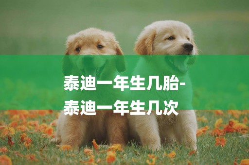 泰迪一年生幾胎-
泰迪一年生幾次