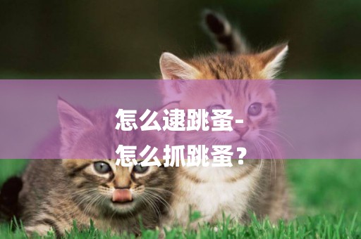 怎么逮跳蚤-
怎么抓跳蚤？