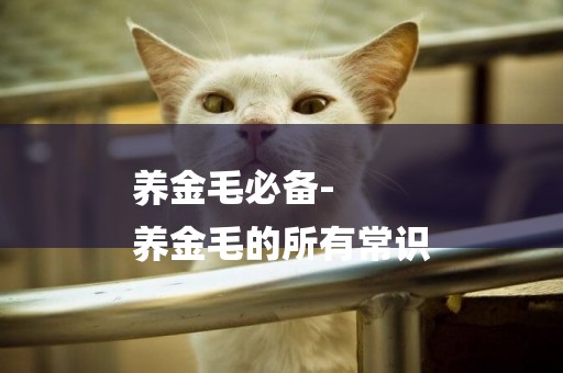 養金毛必備-
養金毛的所有常識