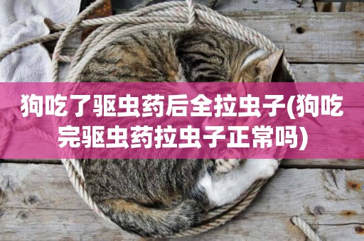 狗吃了驅蟲藥后全拉蟲子(狗吃完驅蟲藥拉蟲子正常嗎)