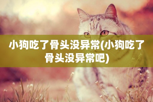 小狗吃了骨頭沒異常(小狗吃了骨頭沒異常吧)