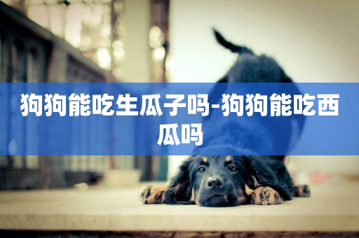 狗狗能吃生瓜子嗎-狗狗能吃西瓜嗎