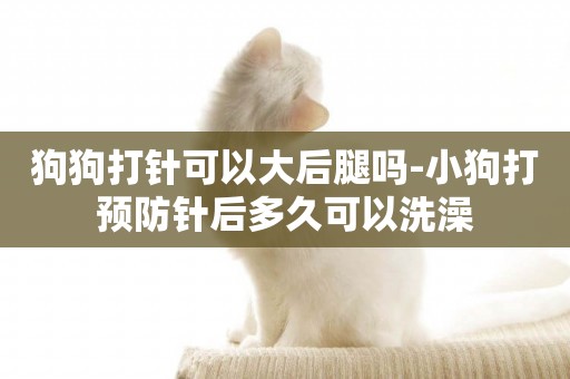 狗狗打針可以大后腿嗎-小狗打預防針后多久可以洗澡