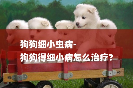 狗狗細小蟲病-
狗狗得細小病怎么治療？