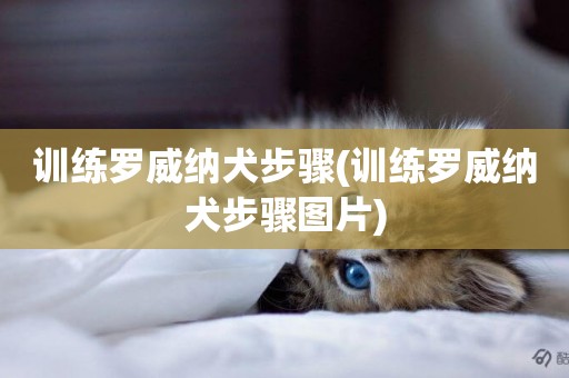 訓練羅威納犬步驟(訓練羅威納犬步驟圖片)