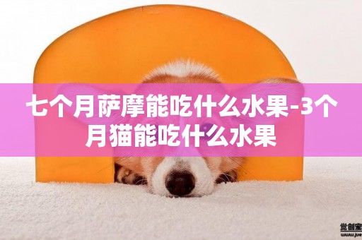 七個月薩摩能吃什么水果-3個月貓能吃什么水果
