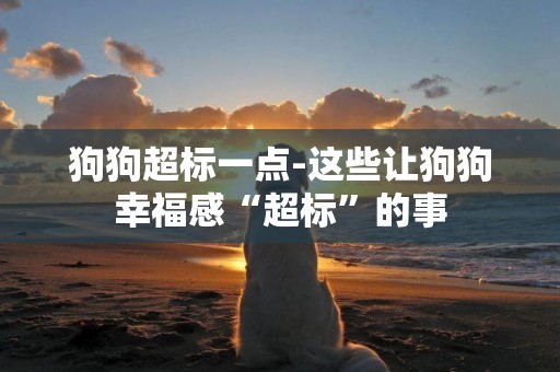 狗狗超標一點-這些讓狗狗幸福感“超標”的事