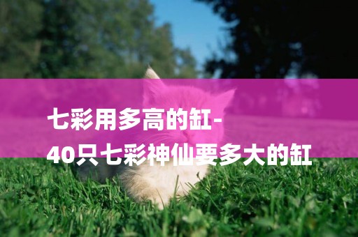 七彩用多高的缸-
40只七彩神仙要多大的缸