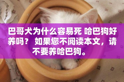 巴哥犬為什么容易死 哈巴狗好養嗎？ 如果您不閱讀本文，請不要養哈巴狗。 