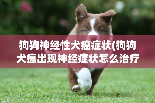 狗狗神經性犬瘟癥狀(狗狗犬瘟出現神經癥狀怎么治療)