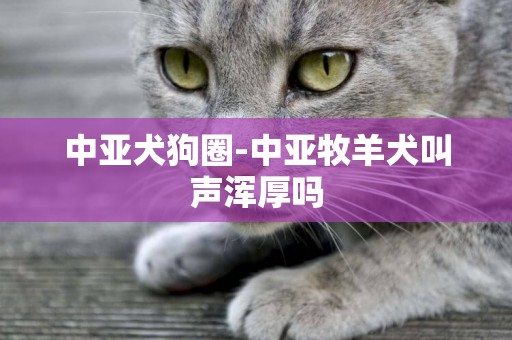 中亞犬狗圈-中亞牧羊犬叫聲渾厚嗎