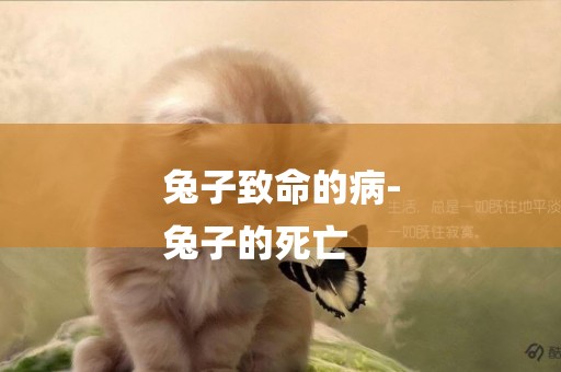 兔子致命的病-
兔子的死亡