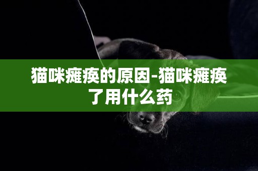 貓咪癱瘓的原因-貓咪癱瘓了用什么藥