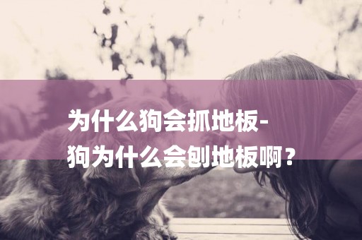 為什么狗會抓地板-
狗為什么會刨地板啊？