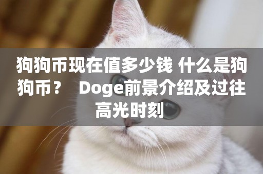 狗狗幣現在值多少錢 什么是狗狗幣？  Doge前景介紹及過往高光時刻 