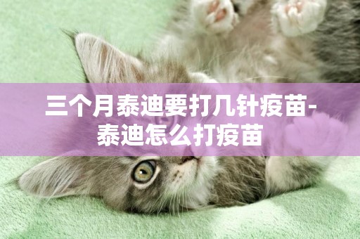 三個月泰迪要打幾針疫苗-泰迪怎么打疫苗