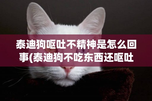 泰迪狗嘔吐不精神是怎么回事(泰迪狗不吃東西還嘔吐精神不好是怎么了)