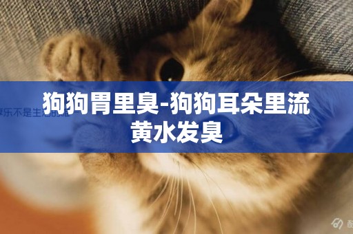 狗狗胃里臭-狗狗耳朵里流黃水發臭