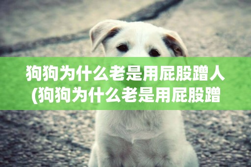狗狗為什么老是用屁股蹭人(狗狗為什么老是用屁股蹭人腳)