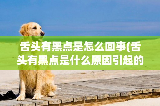 舌頭有黑點是怎么回事(舌頭有黑點是什么原因引起的)