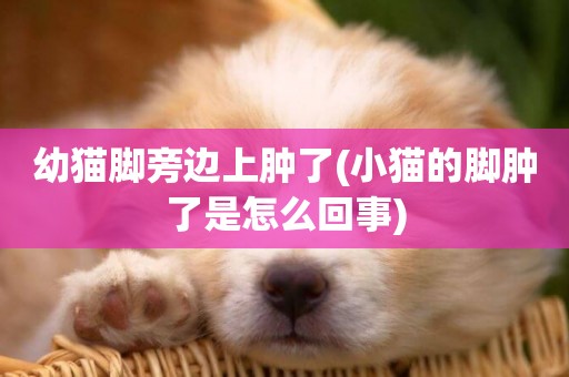 幼貓腳旁邊上腫了(小貓的腳腫了是怎么回事)