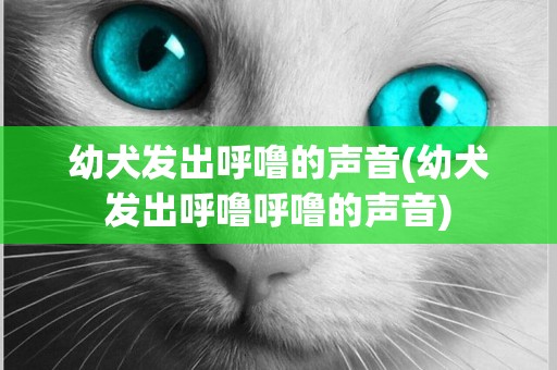 幼犬發出呼嚕的聲音(幼犬發出呼嚕呼嚕的聲音)