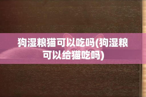 狗濕糧貓可以吃嗎(狗濕糧可以給貓吃嗎)