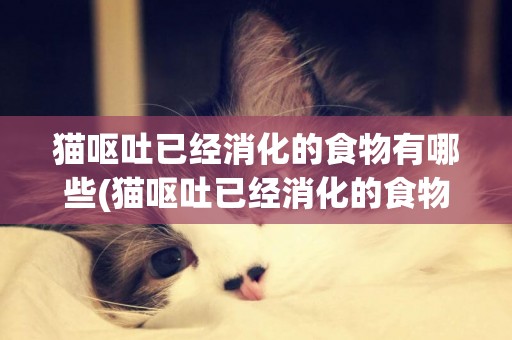 貓嘔吐已經消化的食物有哪些(貓嘔吐已經消化的食物有哪些東西)