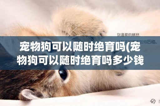 寵物狗可以隨時絕育嗎(寵物狗可以隨時絕育嗎多少錢)