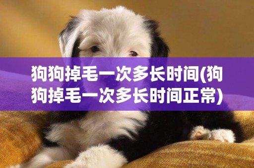 狗狗掉毛一次多長時間(狗狗掉毛一次多長時間正常)